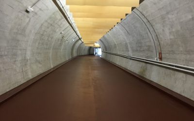 Licht am Ende des Tunnels – Neuigkeiten