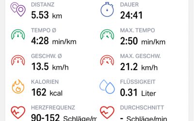 Die Fitness-App Endomondo